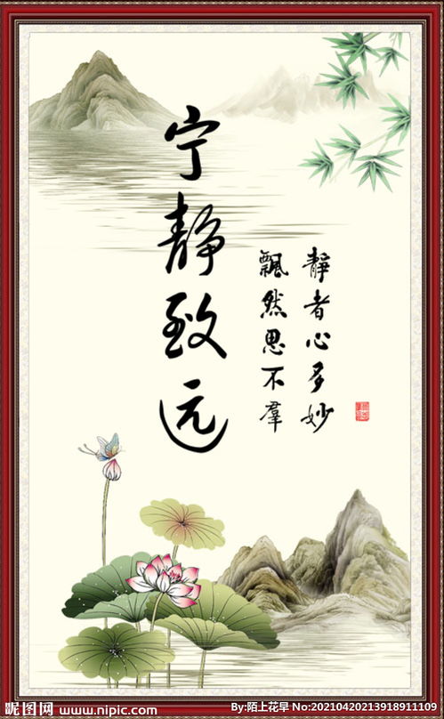 啊！那个成语“澹泊明志，宁静致远”到底是个啥玩意儿？