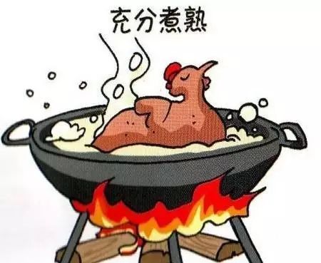 鸡鸭鹅和十二生肖的渊源 (有点跑题了, 别介意!)