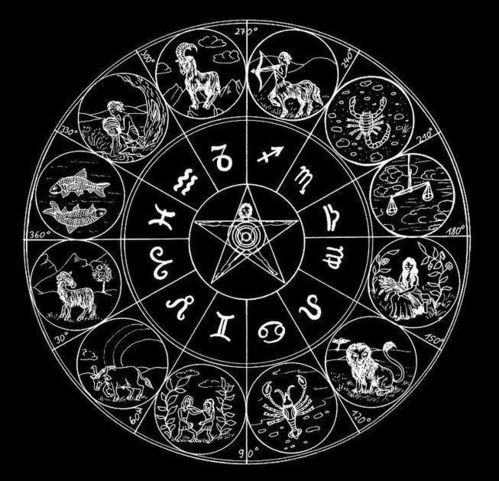 星座里的那些玻璃心患者们