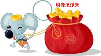 属鼠的人哪个时辰出生蕞有利于运势？