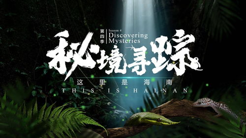 一、 探古寻今揭开中原秘境的面纱
