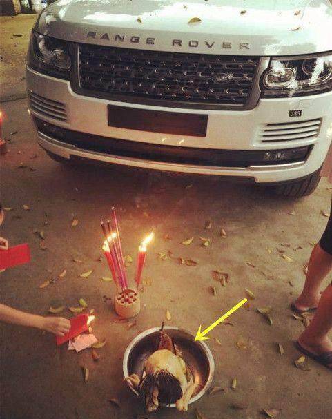 2026年祭车吉时吉日具体是哪一天？祭车吉日查询2025年有没有？