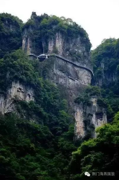 五一特惠， 限时抢购
