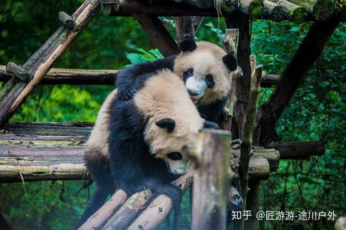 噪音一：我在此打卡