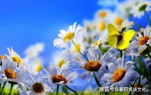 生肖与星座的暗号