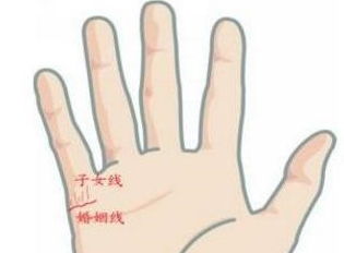 女人手相中哪些特征预示着儿女有福，能拥有十大幸福手相？