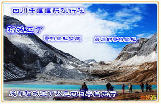 一、 乱序的出发——上海的七月热浪