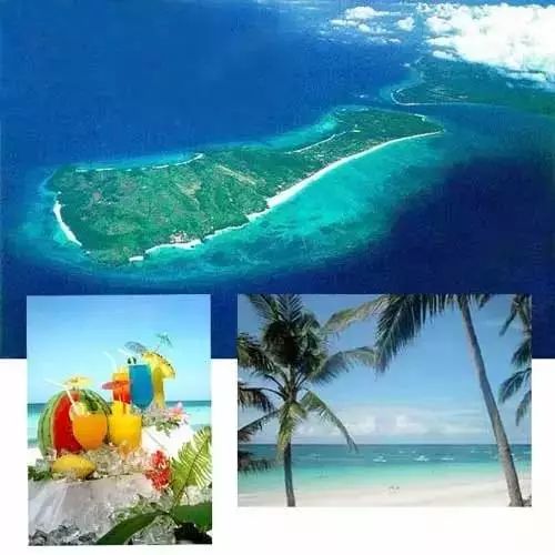第二站：海底世界，珊瑚花园还是沙丁鱼风暴？