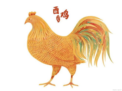 2026年属鸡每月运势和全年运势具体内容是什么？