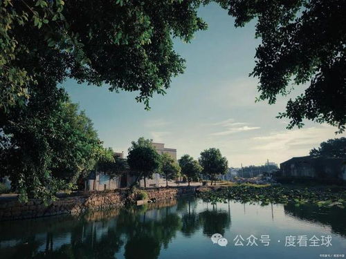 四、 亲近自然感受生命的活力