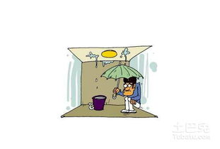 梦见自己店铺漏雨有什么特殊预兆或含义？