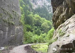 吐鲁沟国家地区森林公园：天然呼吸与心灵栖息