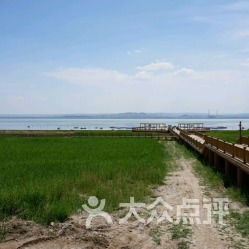 岱海旅游度假区——随便凑合的“特色”大集合