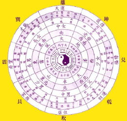 八字里自带的倒霉蛋