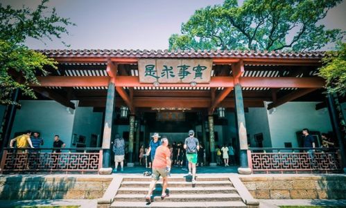 八、 个人情感独白——为什么我爱这里（或者恨它）