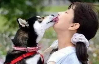 狗狗总想舔你的脸,狗老是想舔你嘴