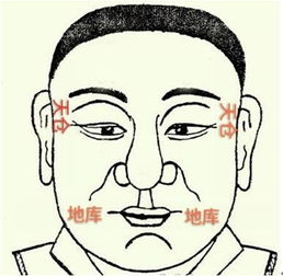 面相算命？别太当真啦！