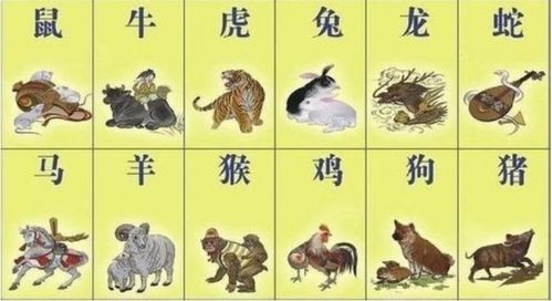 2019年对应的生肖和年号是什么意思？