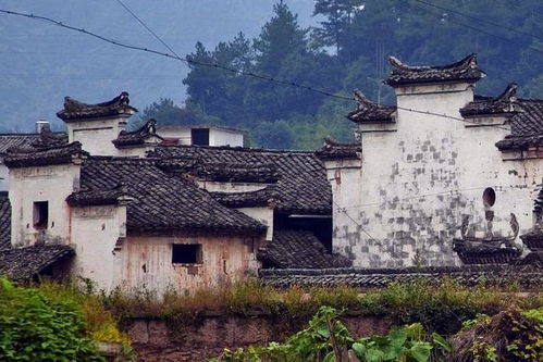 乱七八糟的历史碎片