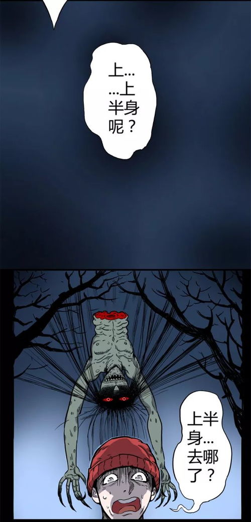 画蛇添足的阴影