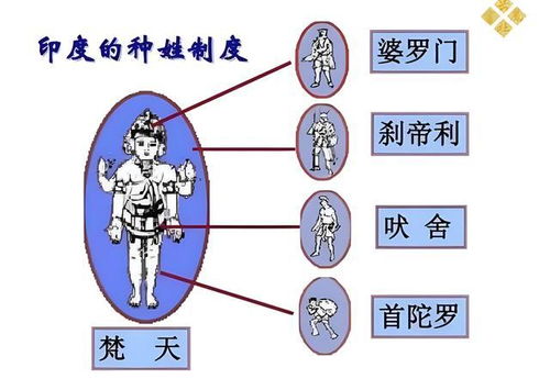 怎么判断你是不是“印更多命”？（别信）