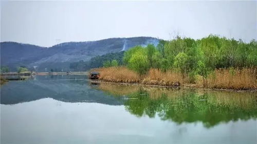 旅行攻略， 开启理想度虚假之旅