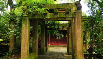 2. 路标与符号