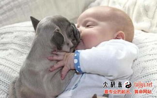 今年属狗的九岁孩子会遇到什么困难吗？