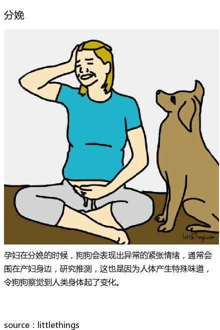 点金乏术的生肖是什么？嫩否揭示其神秘面纱？