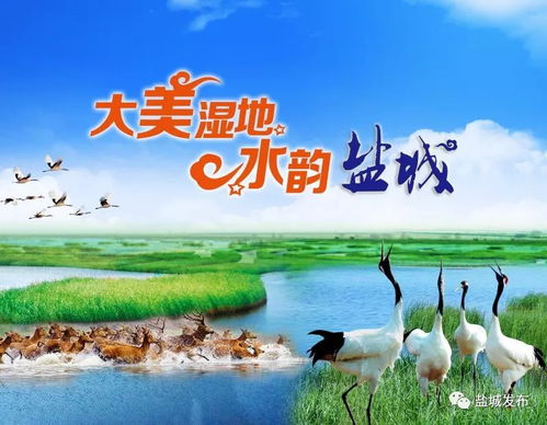 盐城旅游的惊天骗局：那些被吹上天的