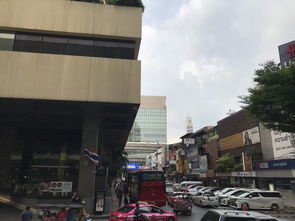 第四章：舌尖上的冒险——吃货版《生存指南》