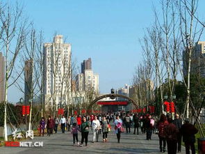 博物馆看干尸？不如去烈士公园看老头打架