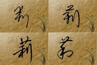 莉个鬼啊莉