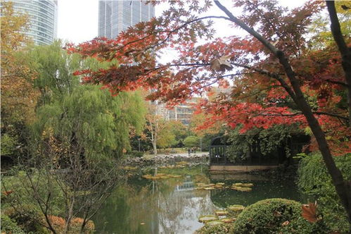南京哪些广场好玩,南京广场风水好吗值得去吗