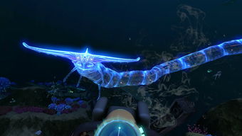 朱雀位与河流：犯冲则易招灾