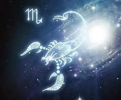 哪个星座女的生活品质如此之高，堪称典范？