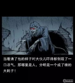 生肖马：草原上的奔跑