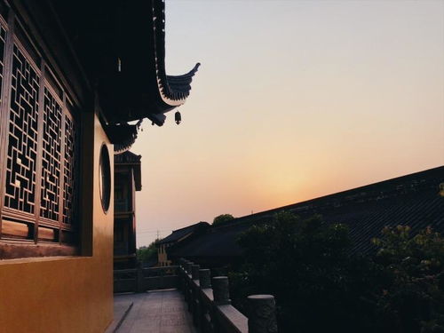 三、瑜伽？感觉自己像个折磨对象