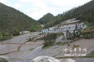 太和乡不是终点， 是起点：从81公里到100公里的意外惊喜