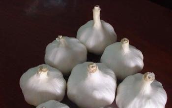 财富积累：慢工出细活儿