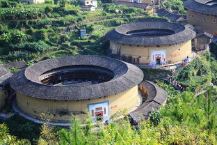 土楼奇遇记：90块钱看个寂寞还是捡到宝？