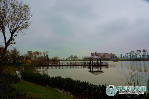 2. 湿地公园——捞鱼河、 海东、斗南，名字听起来像是三个较小孩在玩捉迷藏