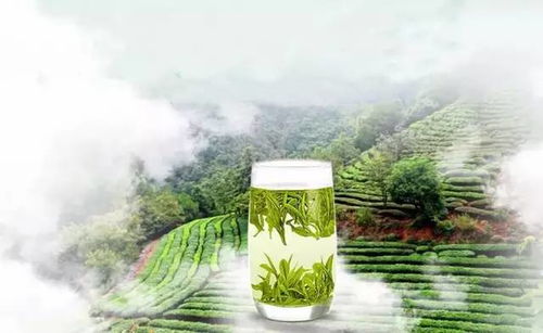 初春阳光下的墨江采拍之旅