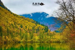 四川六日游：九寨沟+人文景点， 毕业家庭游，费用透明拍照圣地！