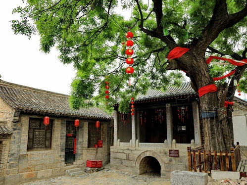 建筑：时间凝固的画卷