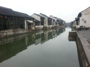 南浔古镇，  腊梅映衬下的古镇风情