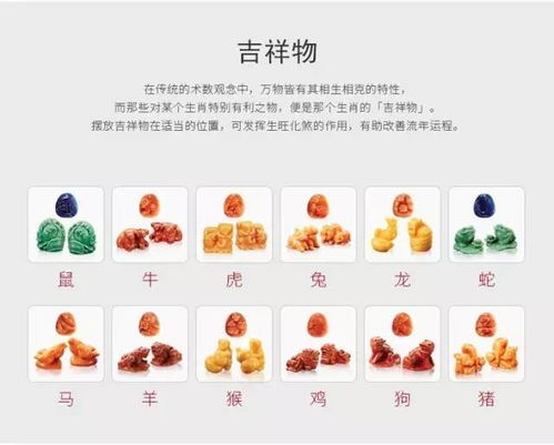 身体健康状况：肠胃不良好是常态