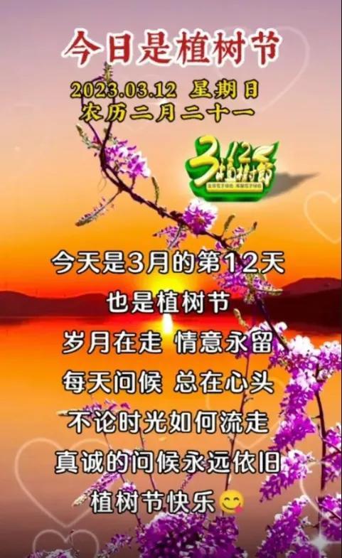 属羊的朋友