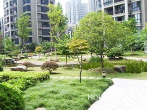 杭州临江花园的风水怎么样,杭州临江花园的风水