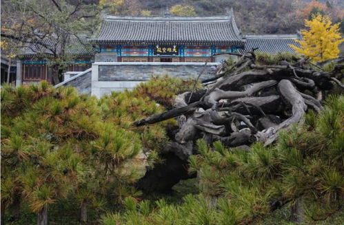 延寿寺-大黑山环线：古寺幽径